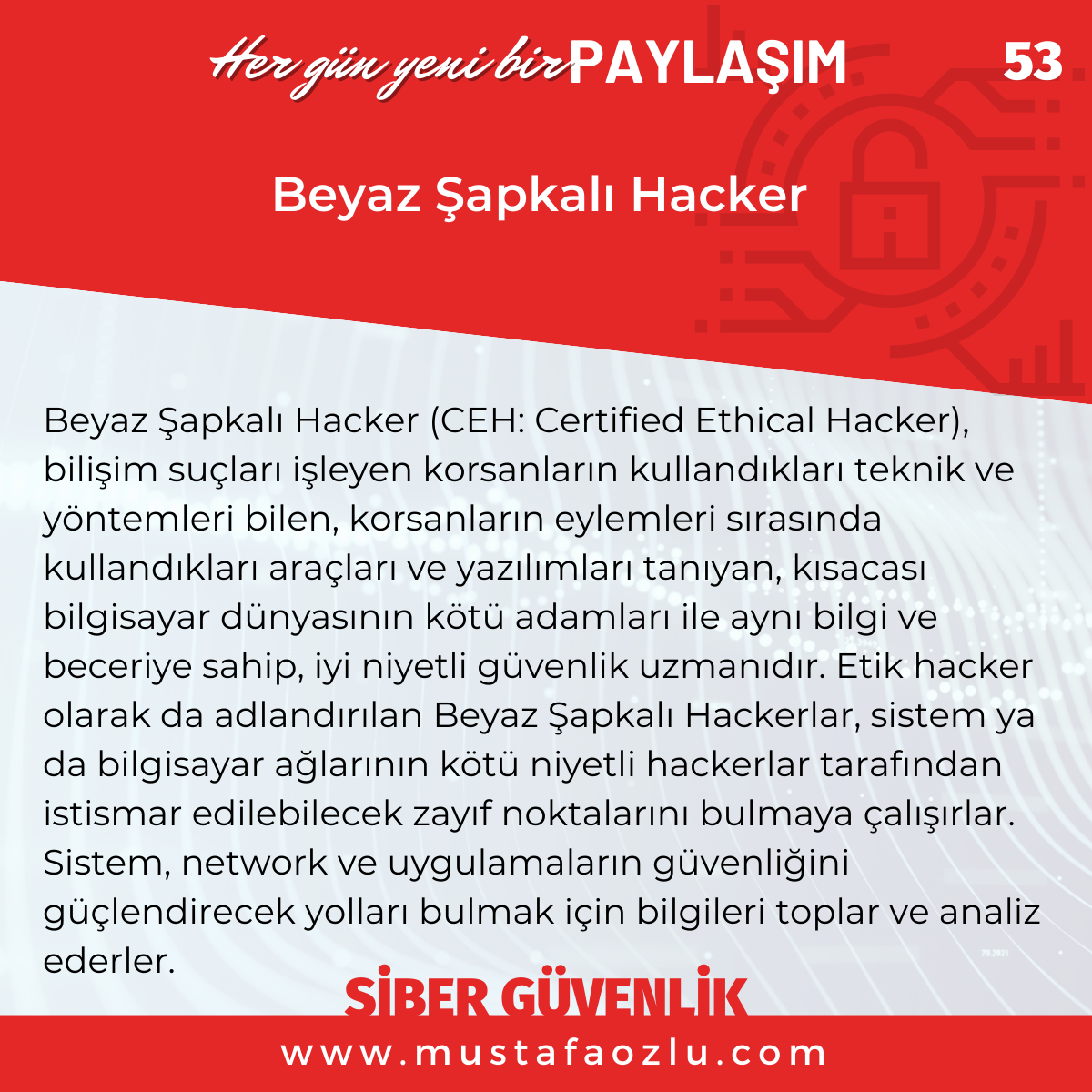 Beyaz Şapkalı Hacker  - Mustafa ÖZLÜ