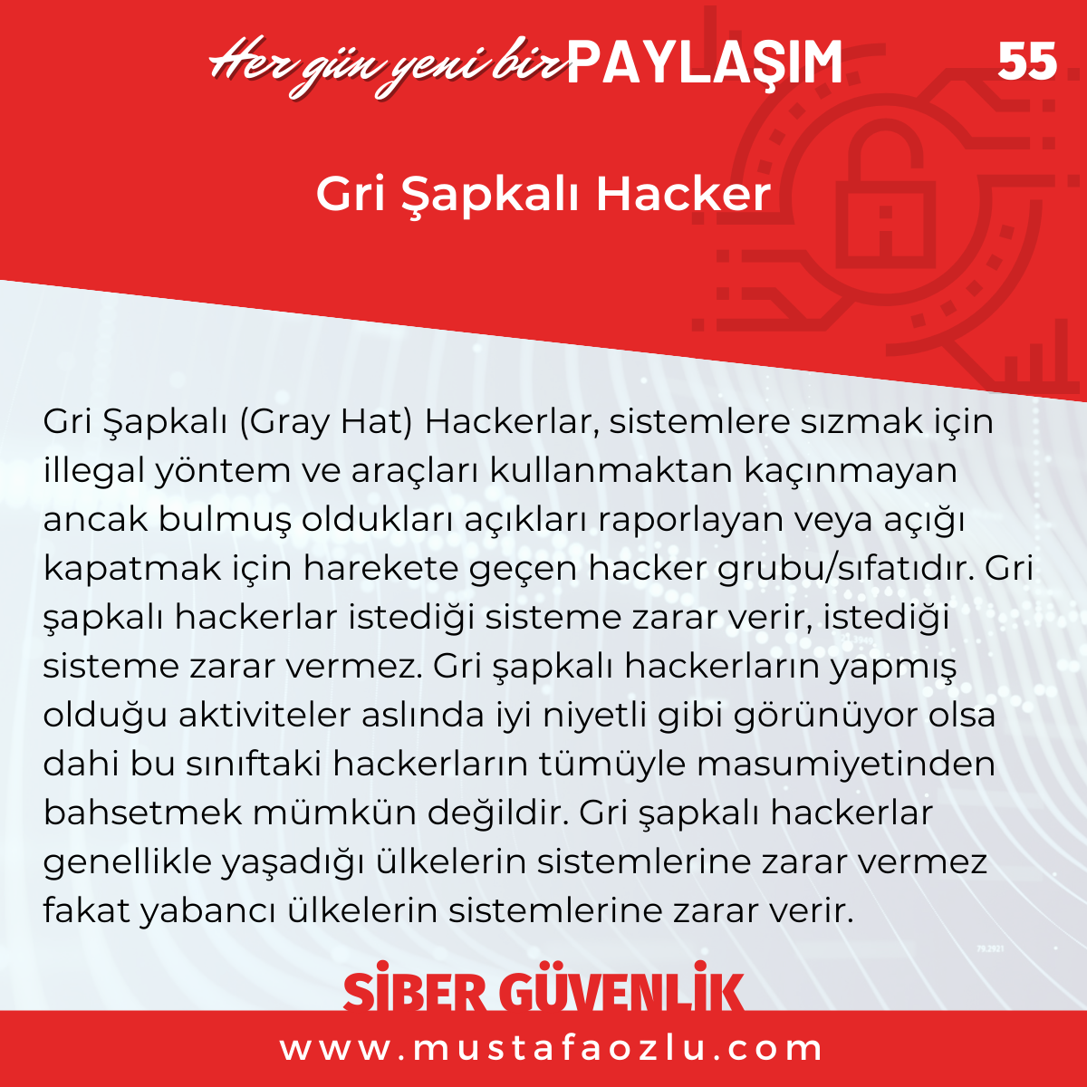Gri Şapkalı Hacker - Mustafa ÖZLÜ